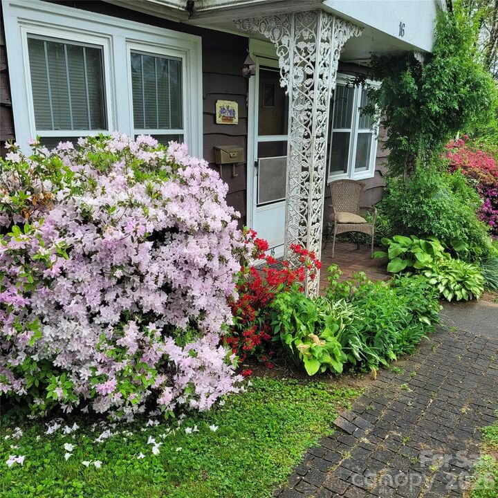 Property Photo:  16 Shannon Drive  NC 28803 