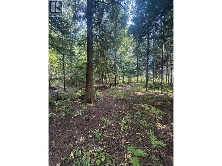 Property Photo:  Dogwood Drive  BC V0G 2G1 