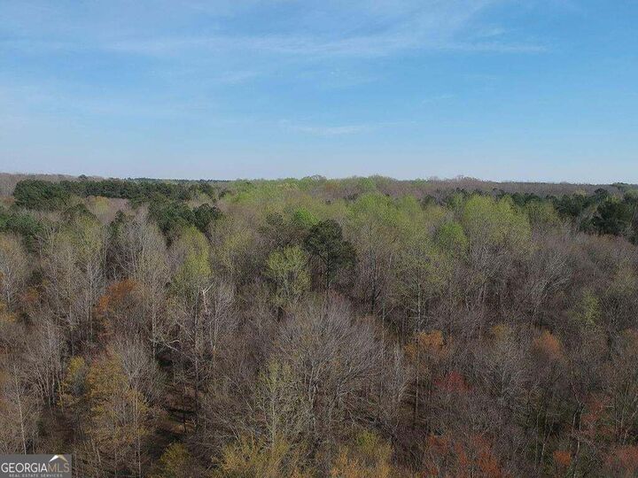 Property Photo: 0 Cobb Road GA 30014