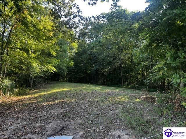 Property Photo:  0 Jewell Flowers Road  KY 42717 