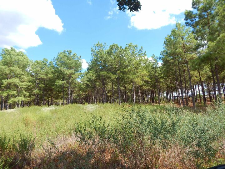 Property Photo:  Tbd 10 Acres Spruce Rd.  TX 75755 