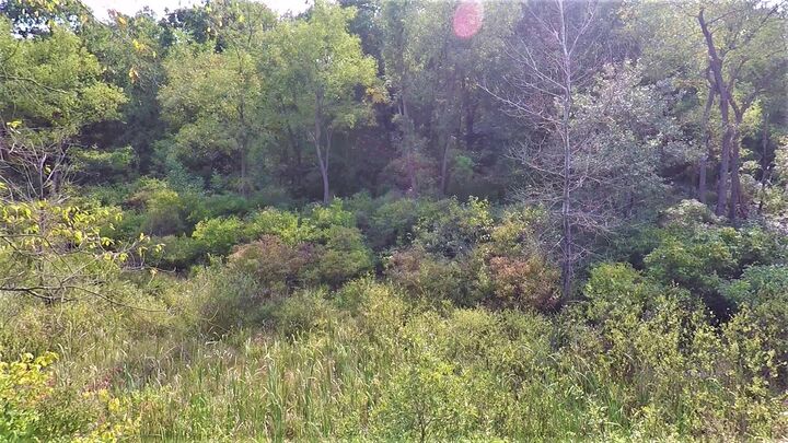 Property Photo: 664 Grat Strasse Road MI 48158