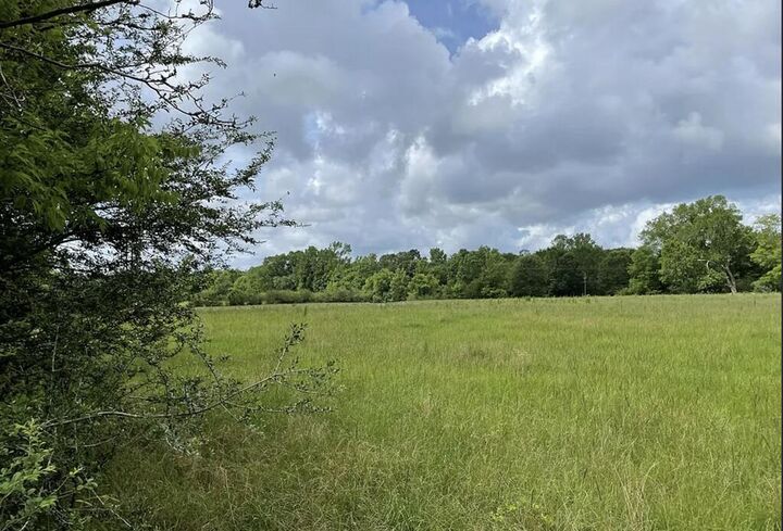 Property Photo: 1135 Cr 419 TX 75961