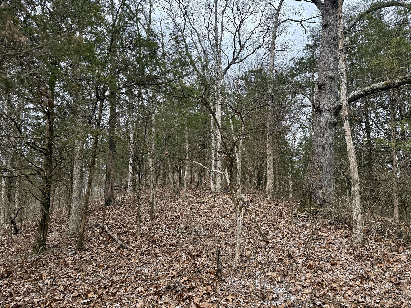 Property Photo:  57 +/- Conley Road  KY 41063 
