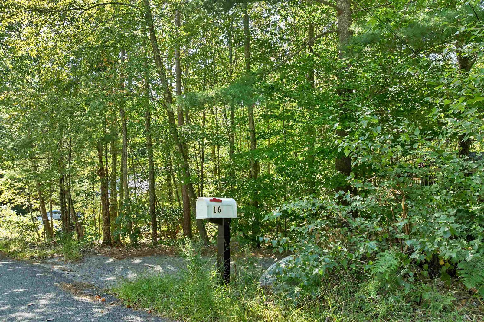 Property Photo: 16 Forest Avenue NH 03249