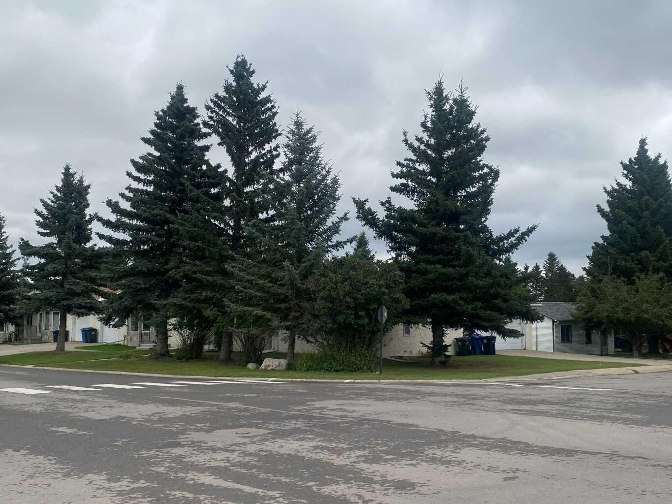 Property Photo: 415 1 Avenue NW AB T0M 1X0
