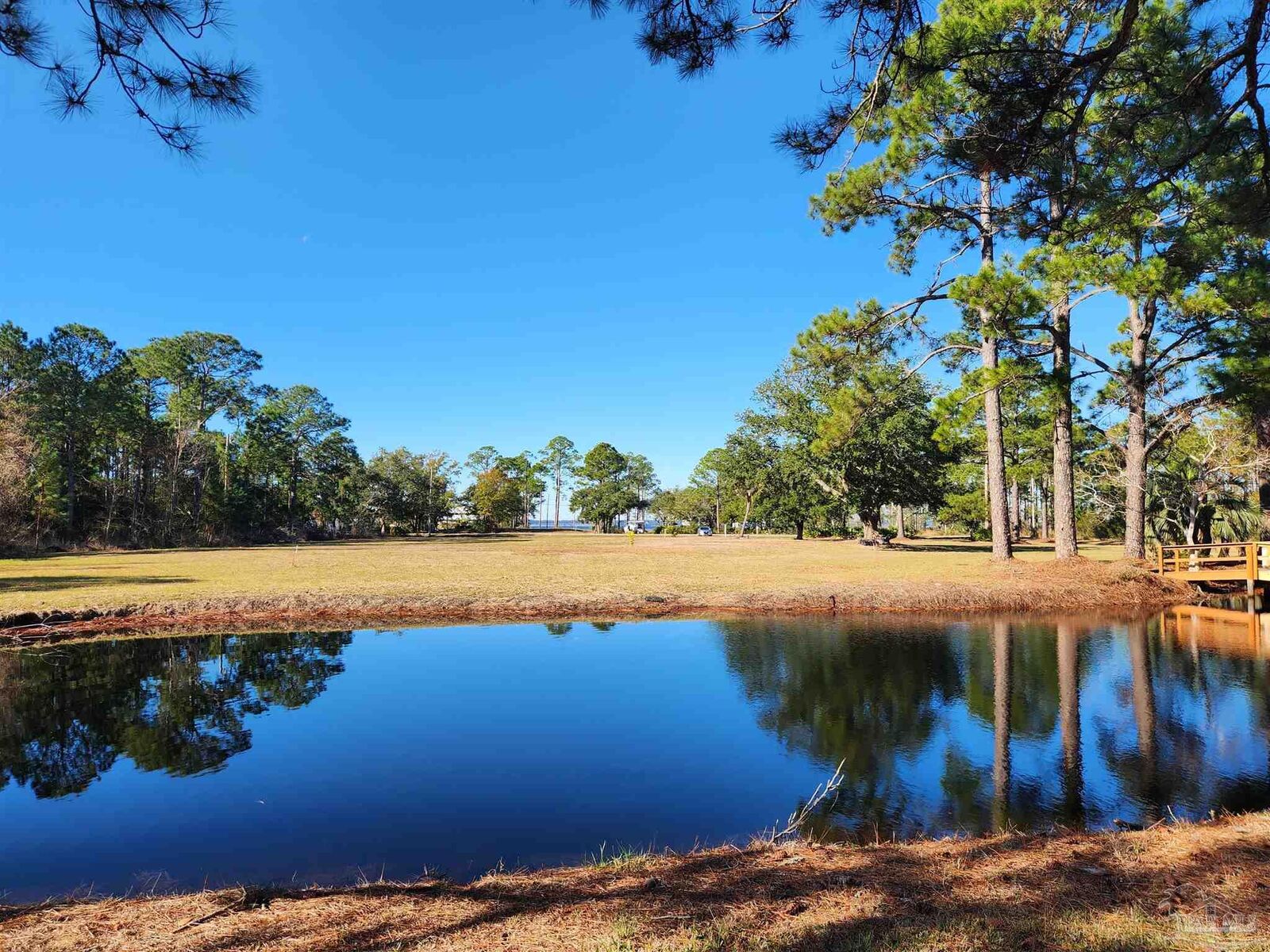 Property Photo:  1164 Pearson Rd  FL 32583 