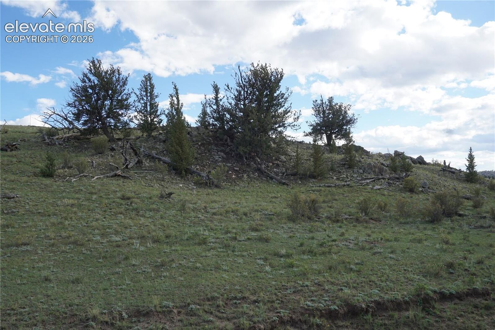 Property Photo:  1022 Walls Street  CO 80449 