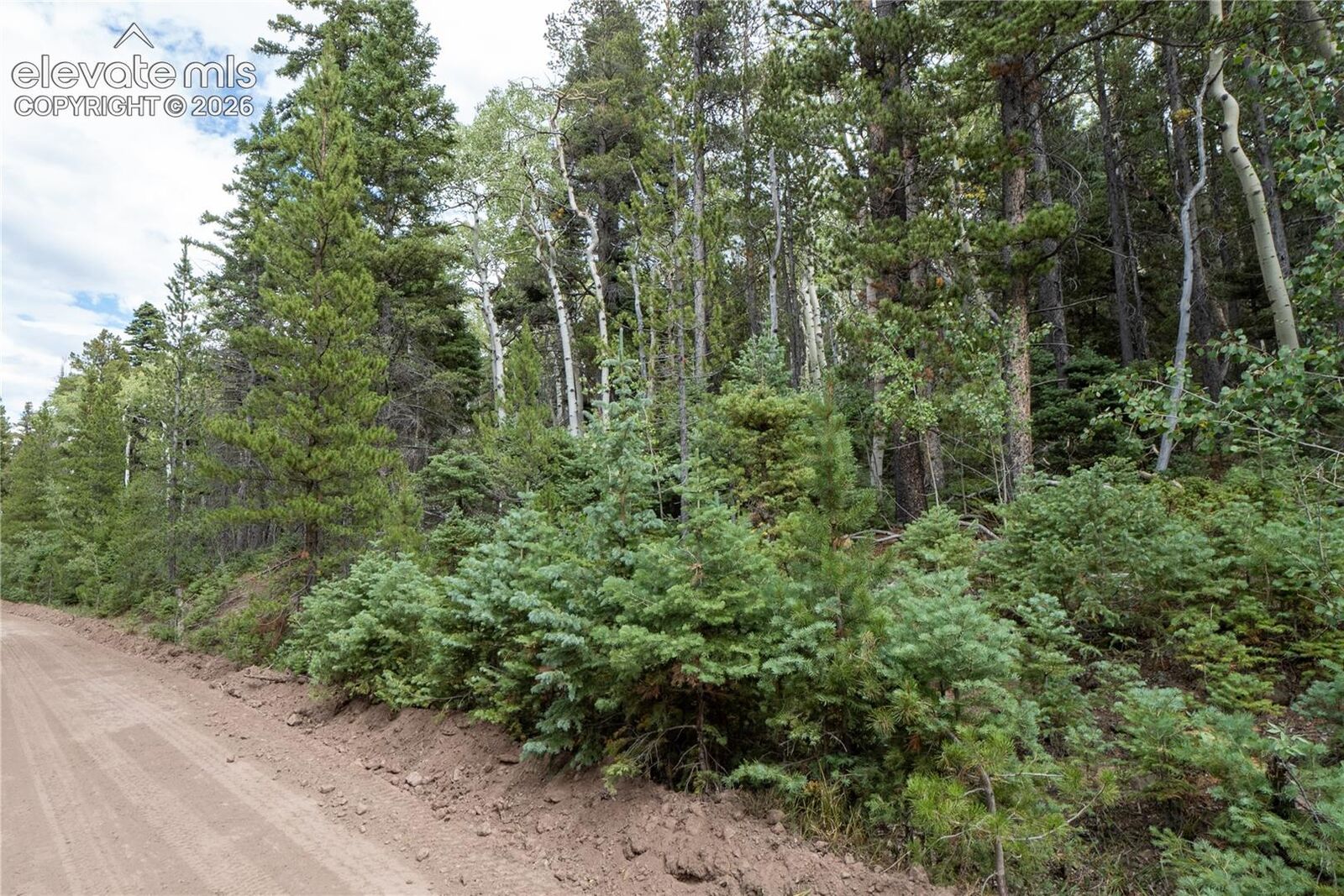 Property Photo:  Lot 2238 Buonaventura Lane  CO 81133 