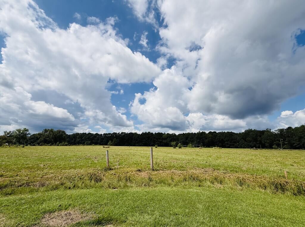 Property Photo: 25 Rack Rd Tract 6 MS 39466