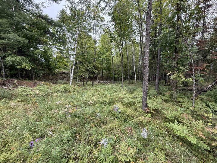 Property Photo:  1059 6th Concession B Road  ON K0G 1K0 