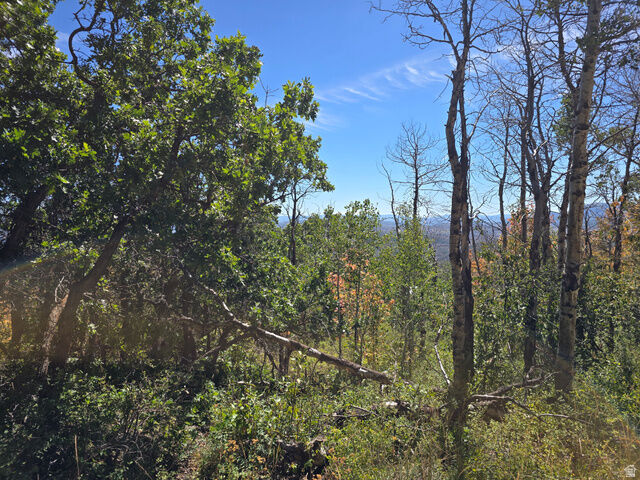 Property Photo:  661 W Shady Ln 55  UT 84017 