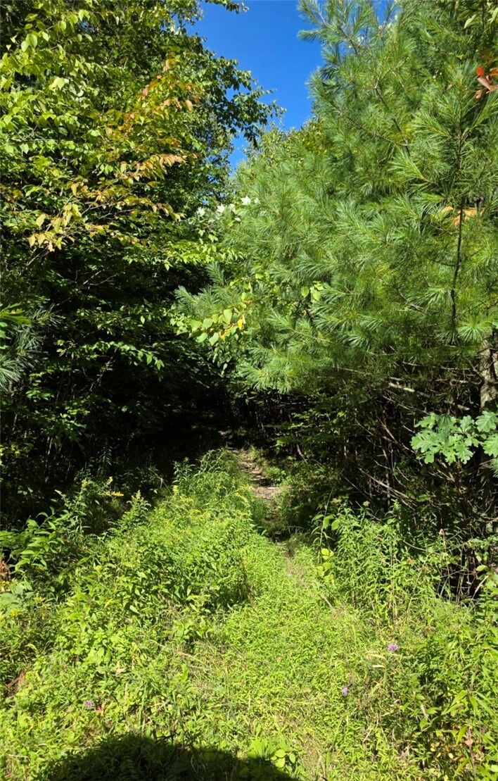 Property Photo:  Black Ash Road  NY 14898 