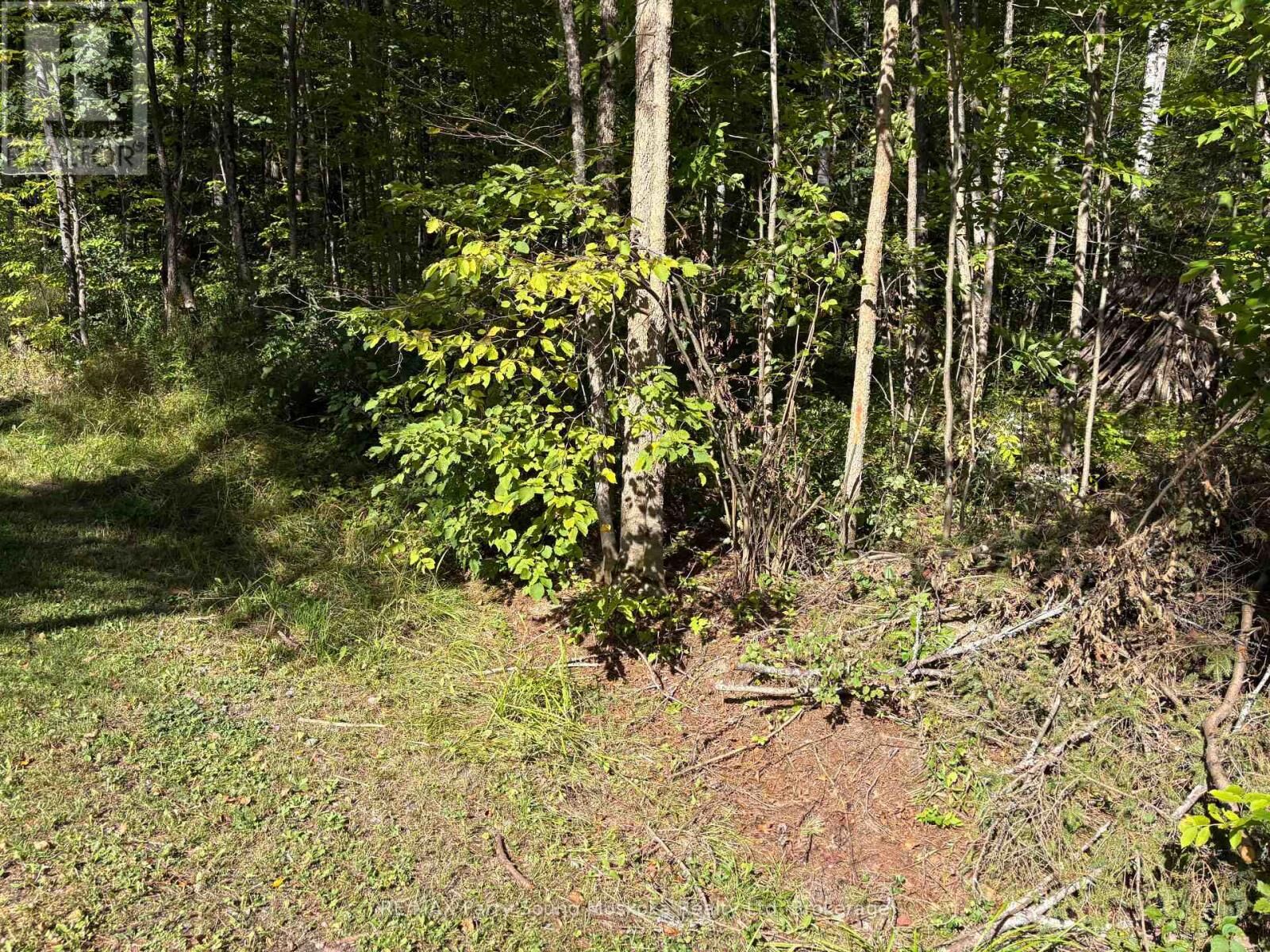 Property Photo:  0 Pine Road  ON P0A 1A0 