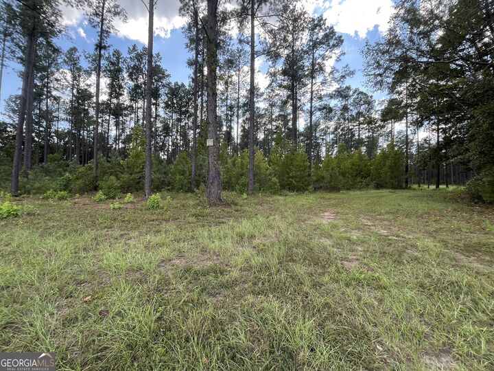 Property Photo:  0 Mark Wood Rd. Lot 3  GA 31019 