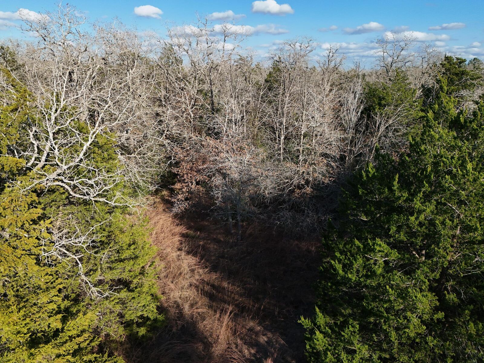 Property Photo:  Lot 11 Antioch Road  TX 78659 