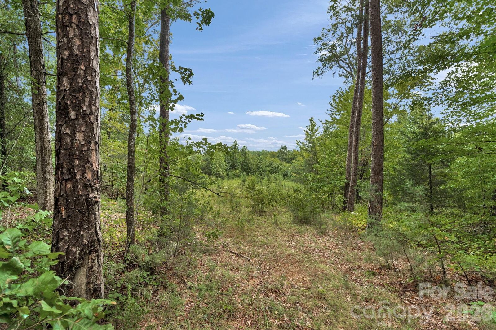 Property Photo:  00 Mountain Road  NC 27013 