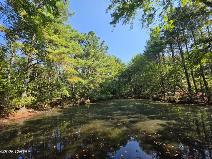 Property Photo:  255 Kee Lane  TN 38320 