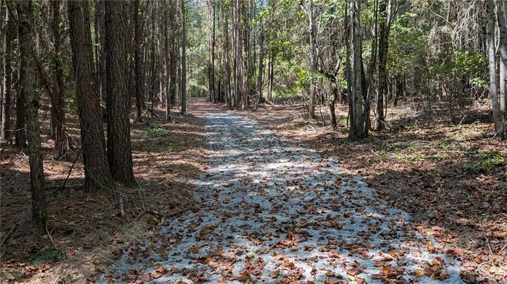Property Photo: 1124 Soap Creek Rd GA 30107