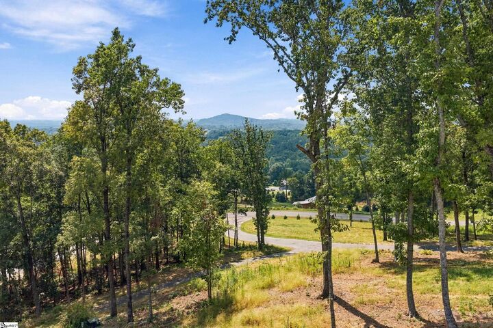 Property Photo:  103 Blue Stone Drive  SC 29640 