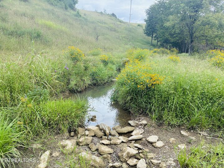 Property Photo: 00 Cantwell Valley Rd TN 37869