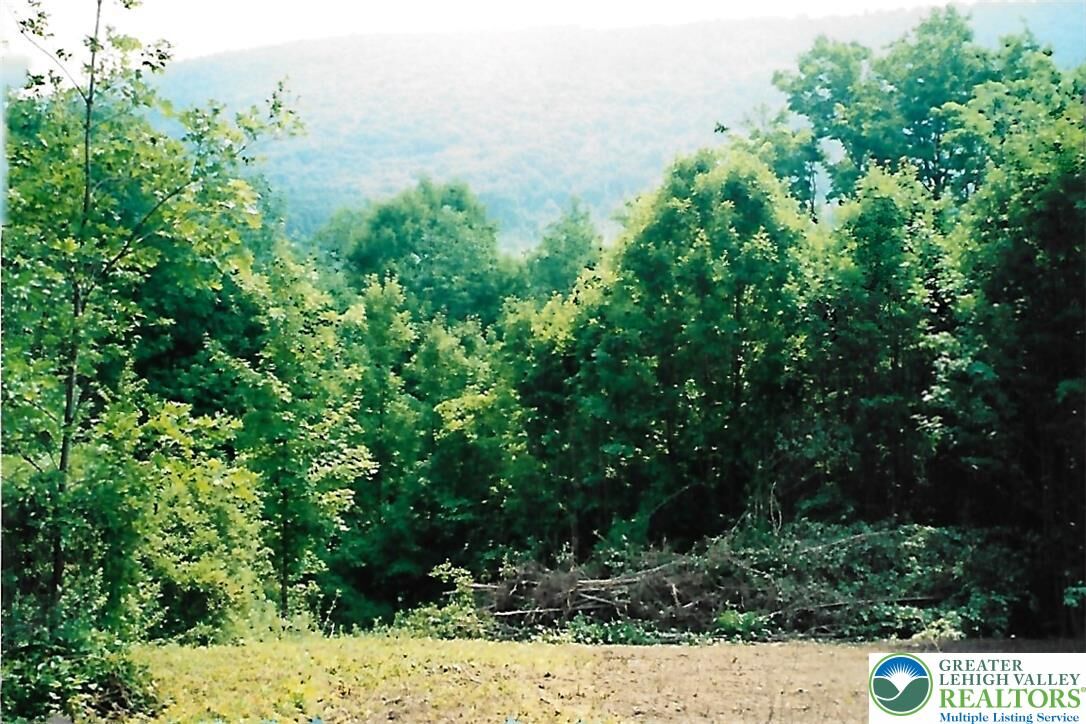 Property Photo:  Pantherlick Road  PA 18846 