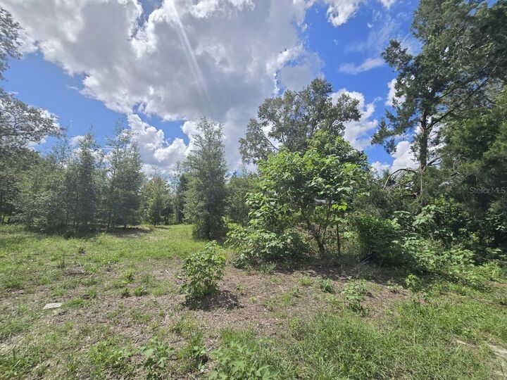 Property Photo:  St. Paul Dr  FL 34610 