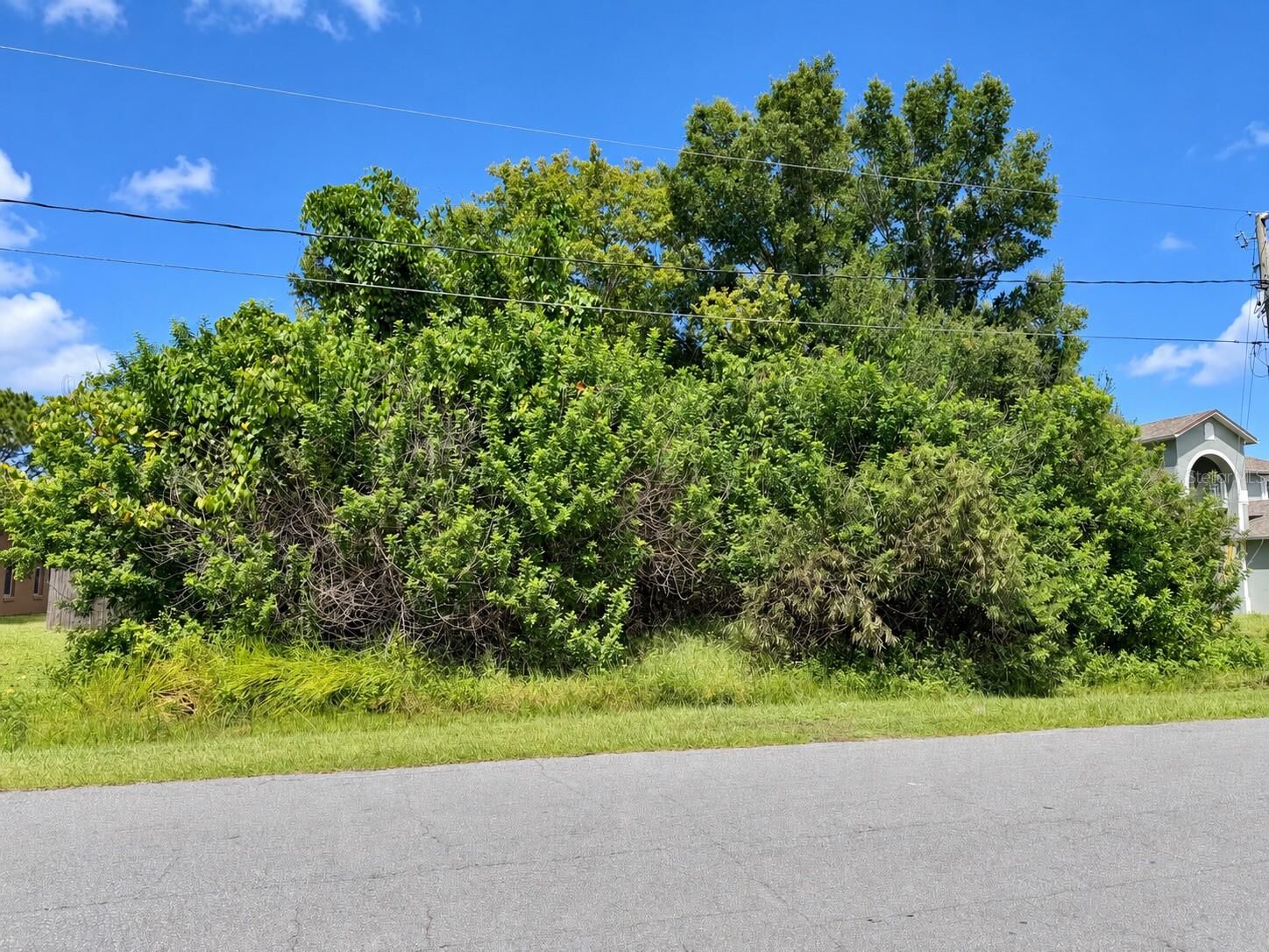 Property Photo:  1005 Cannes Drive  FL 34759 