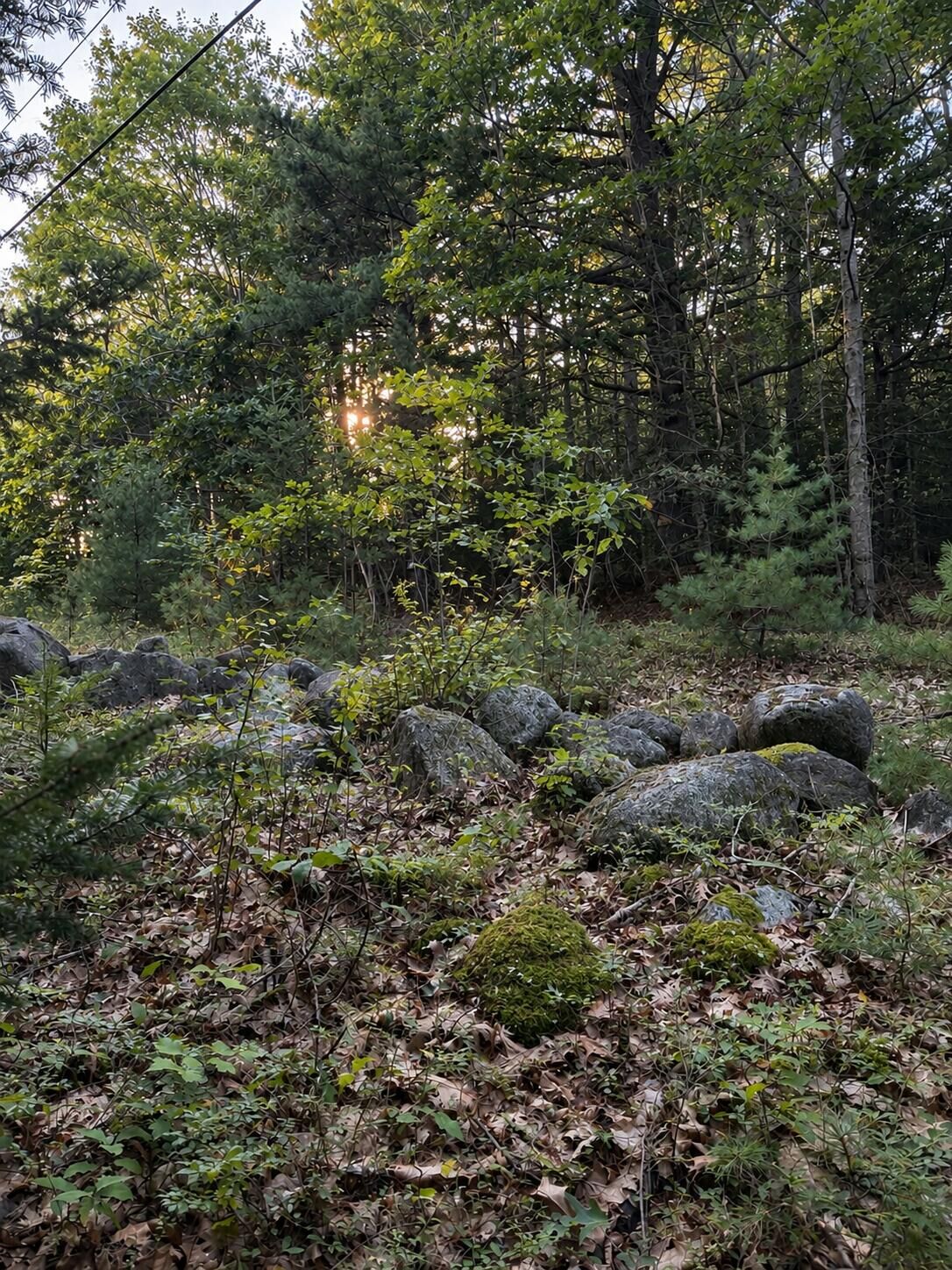 Property Photo:  M10 L23-1 Blackswoods  Road  ME 04634 