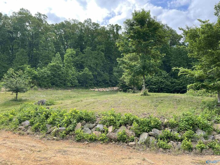 Property Photo: 646 Keel Mountain Road AL 35748