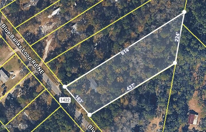 Property Photo:  3480 Blue Banks Loop Road NE  NC 28451 