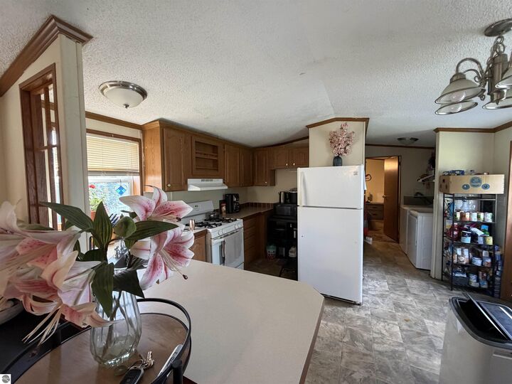 Property Photo:  4524 Goldenrod Drive  MI 49685 
