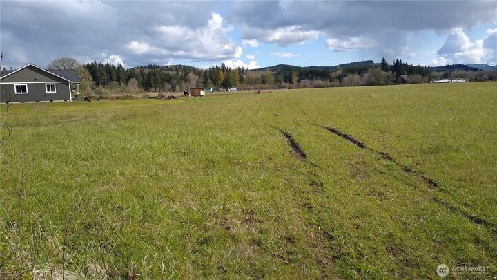 Property Photo:  559 08  Boistfort Rd  WA 98538 
