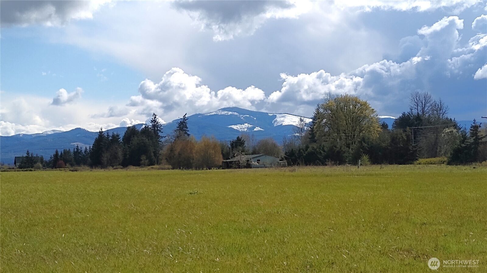 Property Photo:  559 06  Boistfort Rd  WA 98538 