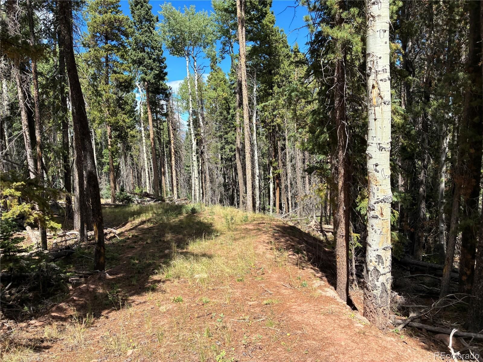 Property Photo:  Lot 2380 Benton Road  CO 81133 