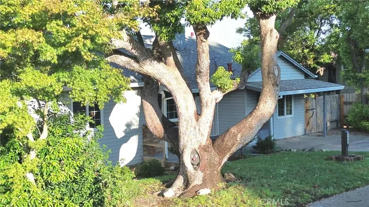 Property Photo:  1938 Campbell Avenue  CA 95966 