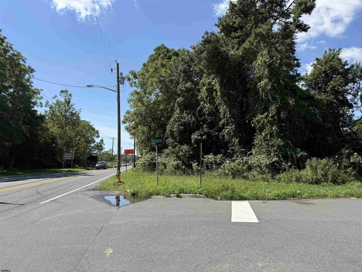 Property Photo:  Maple Rd  NJ 08201 