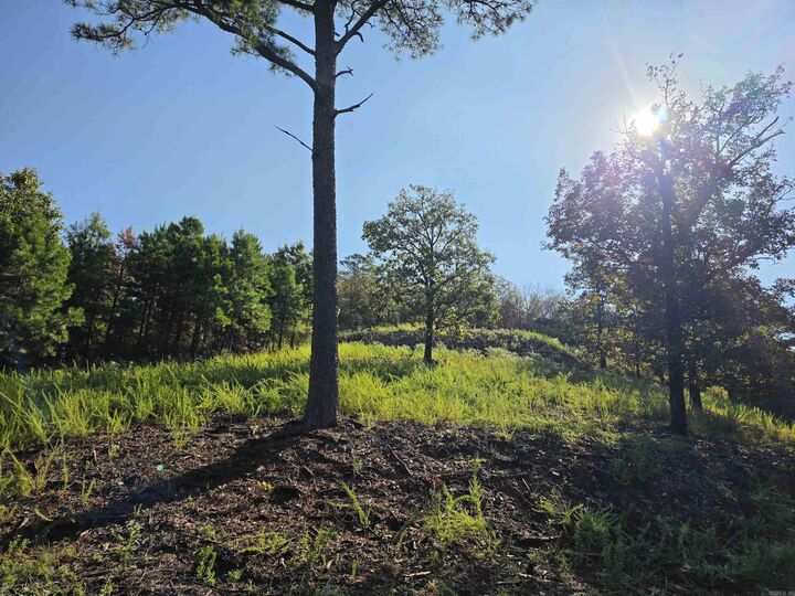 Property Photo:  457 Polk Road 412  AR 71953 