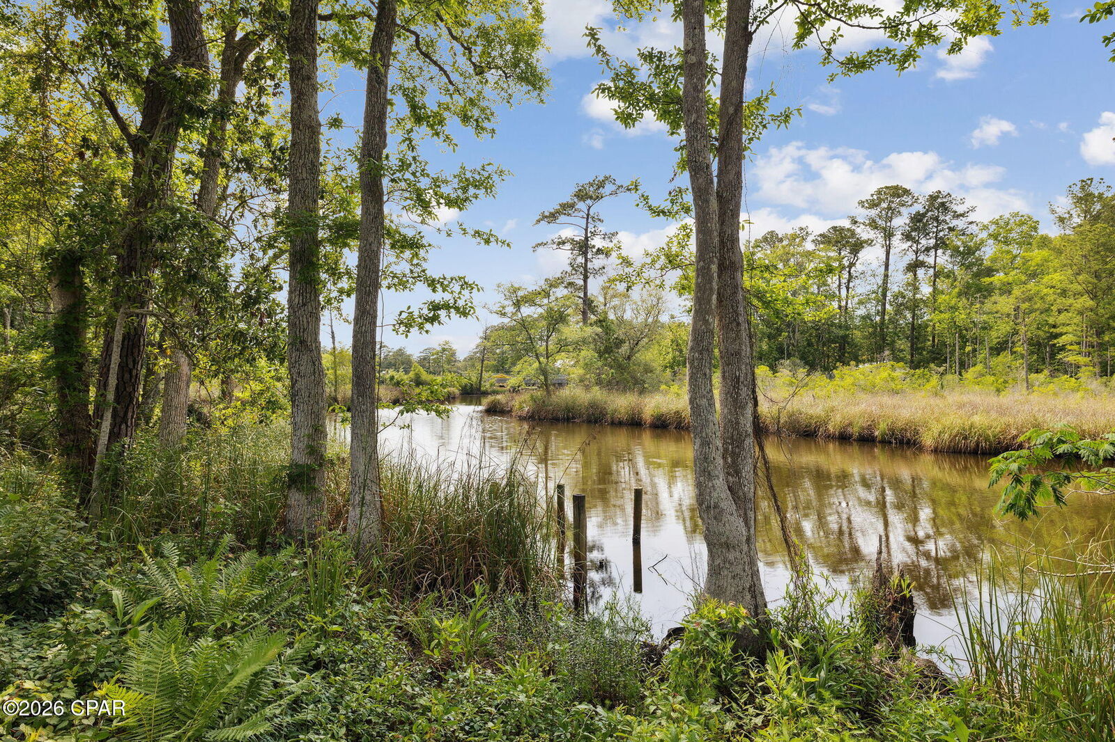 Property Photo: 193 Ramsey Branch Road Lot 2 FL 32439