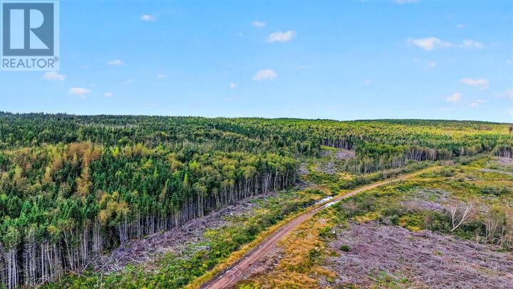 Property Photo:  00 Georges Brook Access Road  NL A0C 1A0 