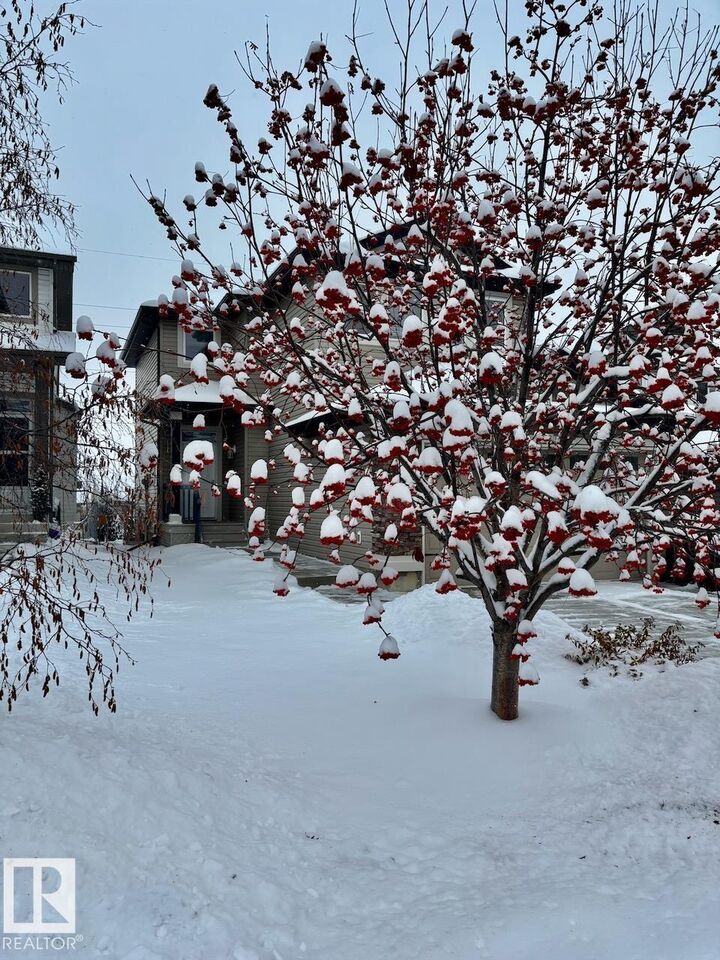 Property Photo:  38 Cascade Crescent  AB T8H 0L9 