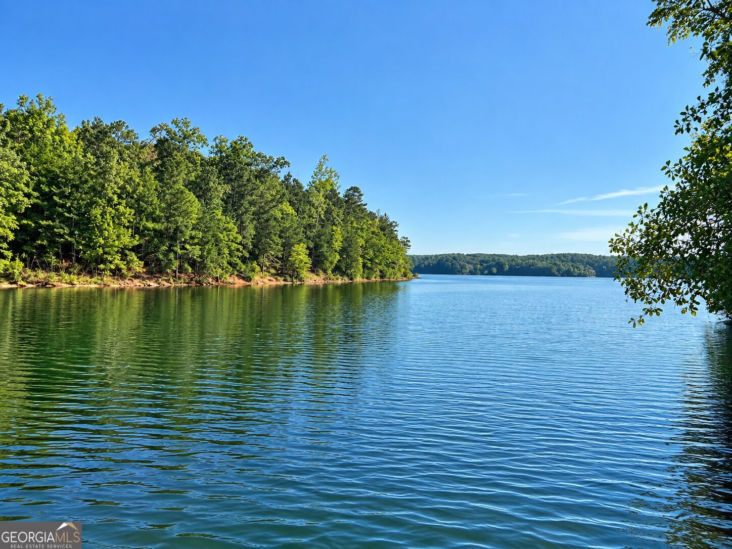 Property Photo:  0 Bluff Rd Lot 21  GA 30635 