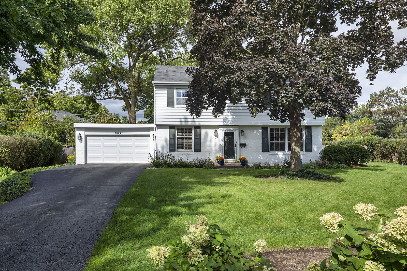 Property Photo: 1024 Old Elm Place IL 60022