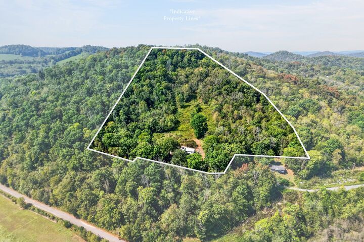 Property Photo:  394 Lou Dr  TN 37059 