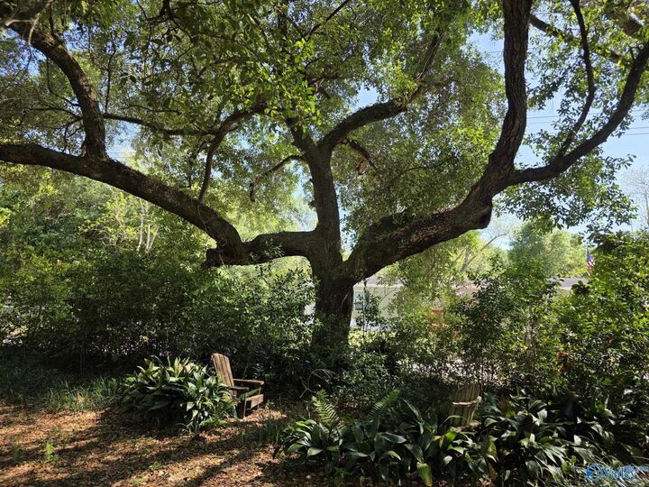 Property Photo: 18743 Keller Road AL 36535