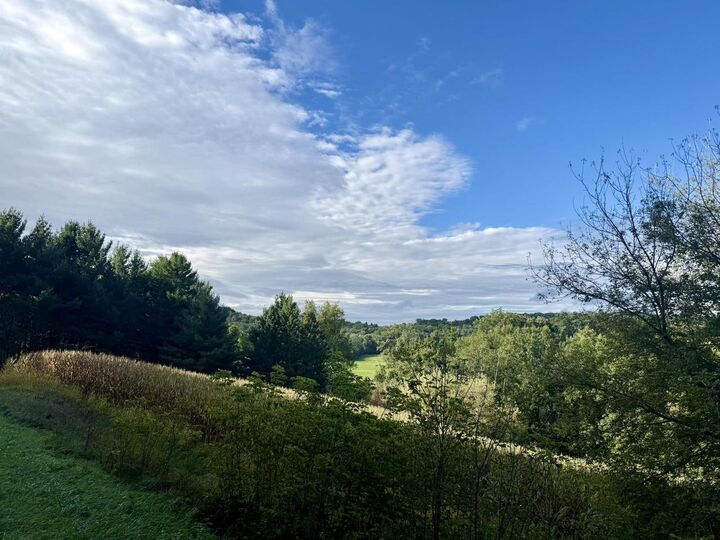 Property Photo:  15 Acres Ozone Road  WI 53929 