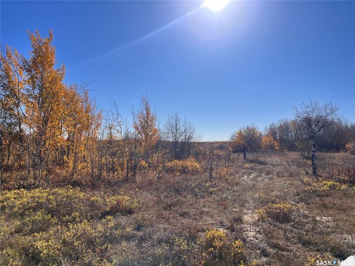 Property Photo:  Rural Address  SK S0M 1M0 