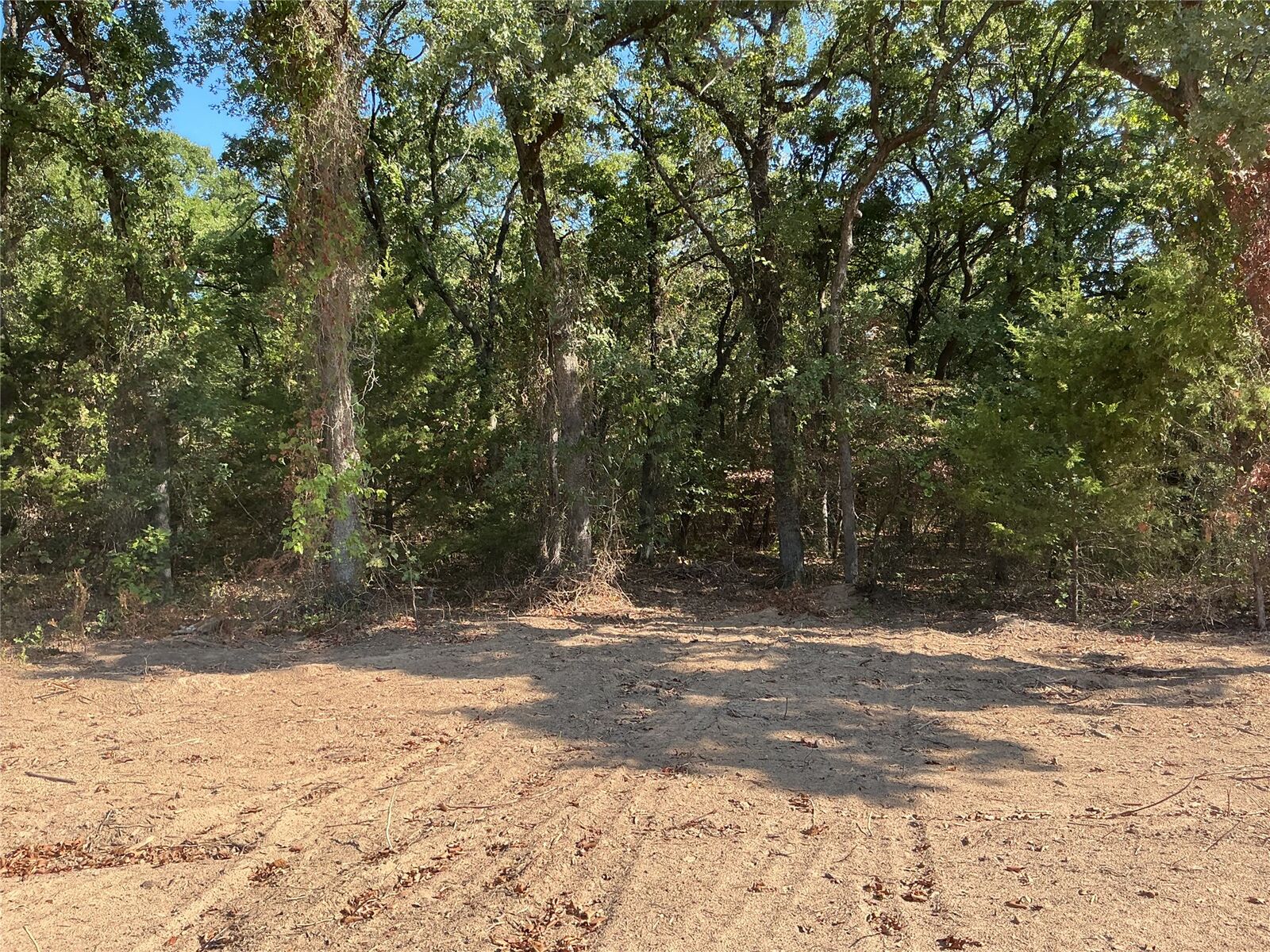 Property Photo:  American Way  OK 73439 