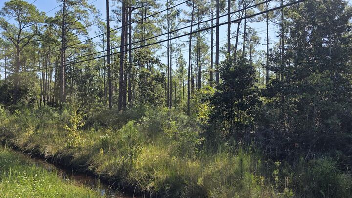 Property Photo:  0000 E Bay Boulevard  FL 32563 