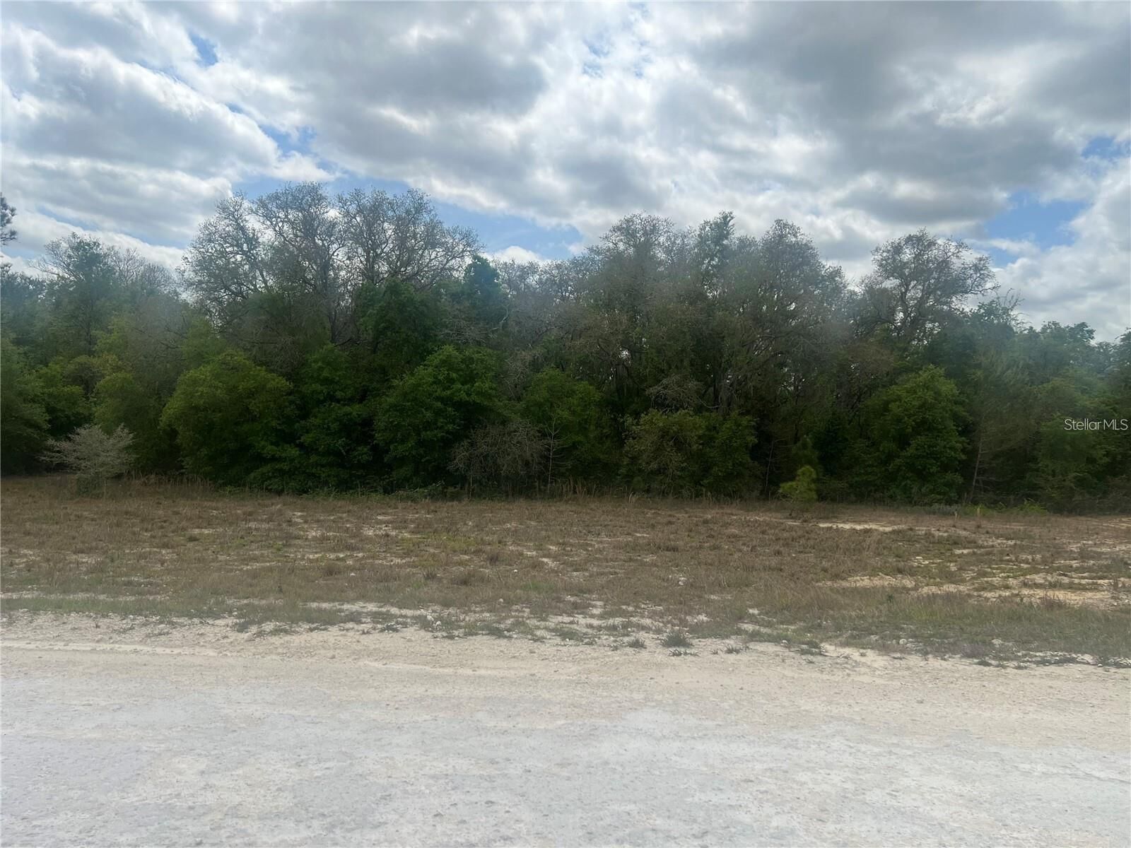 Property Photo:  Cleft Rock St  FL 33597 